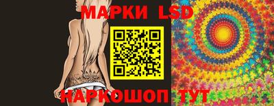 прущие грибы Будённовск