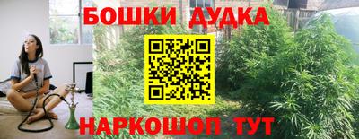 прущие грибы Будённовск