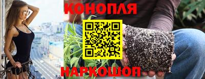 прущие грибы Будённовск