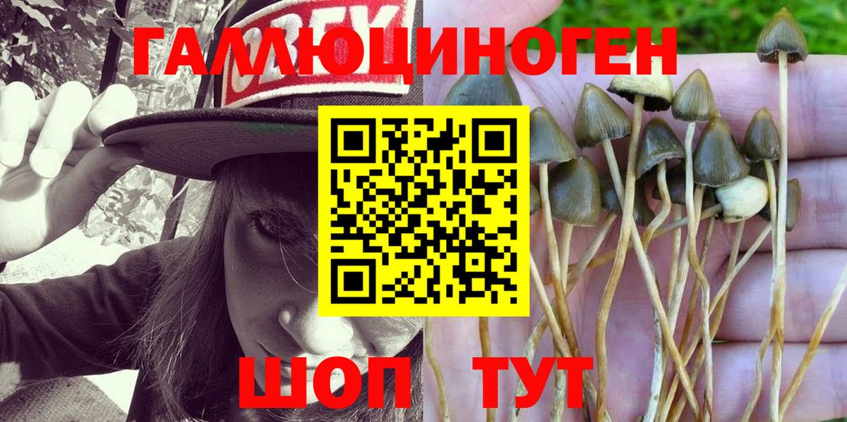 Ногинск  где можно купить наркотик  Вход с VPN  Псилоцибиновые грибы Magic Shrooms  Галлюциногенные грибы мухоморы 