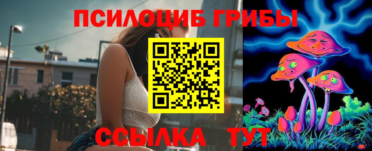 Псилоцибиновые грибы прущие грибы Ногинск